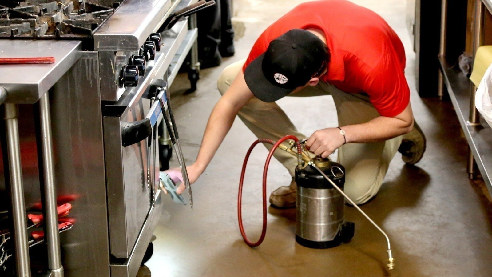 Restaurants Pest Control Service