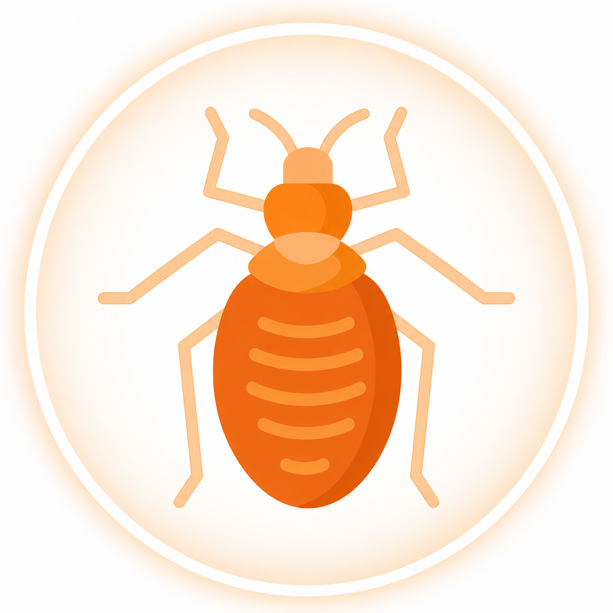 Bed Bug