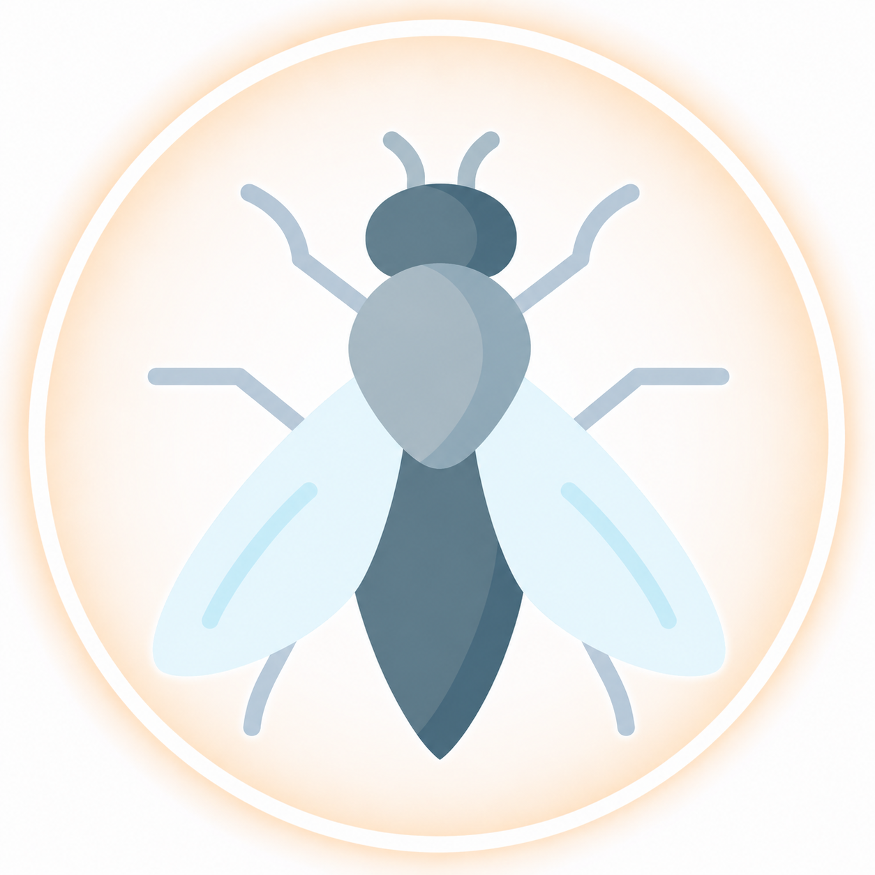 Fly