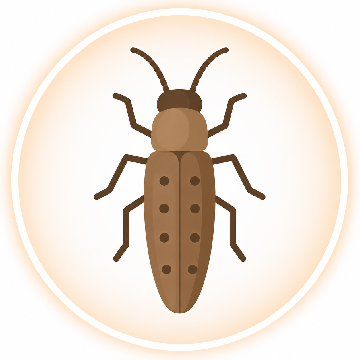 Wood Borer