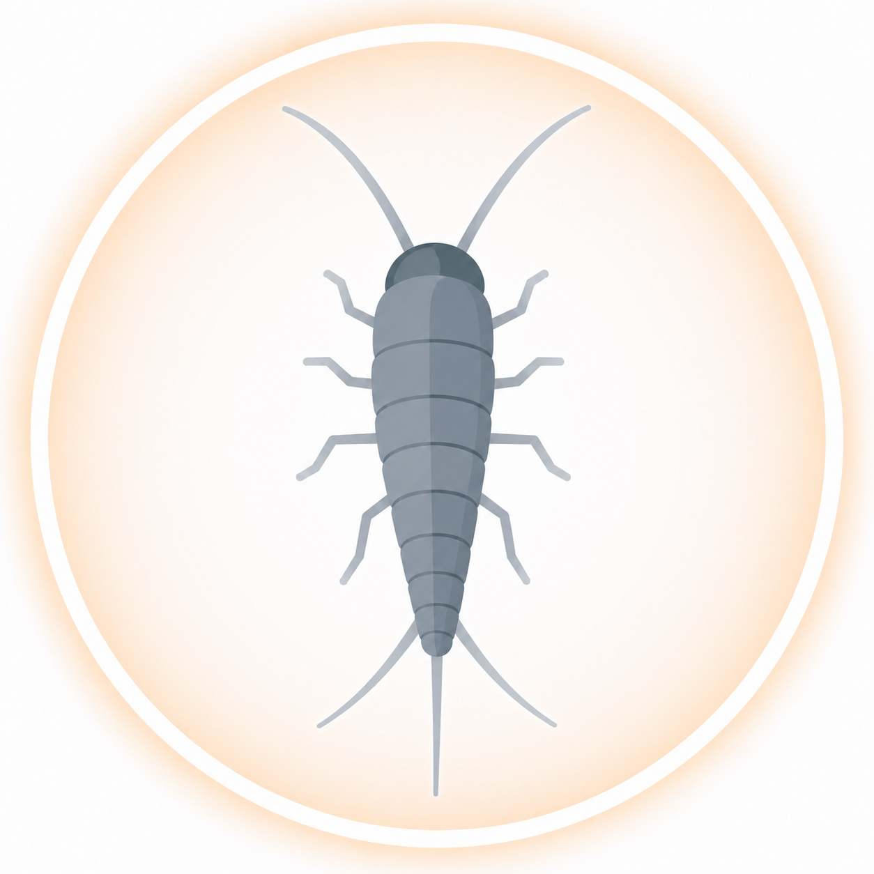 Silverfish